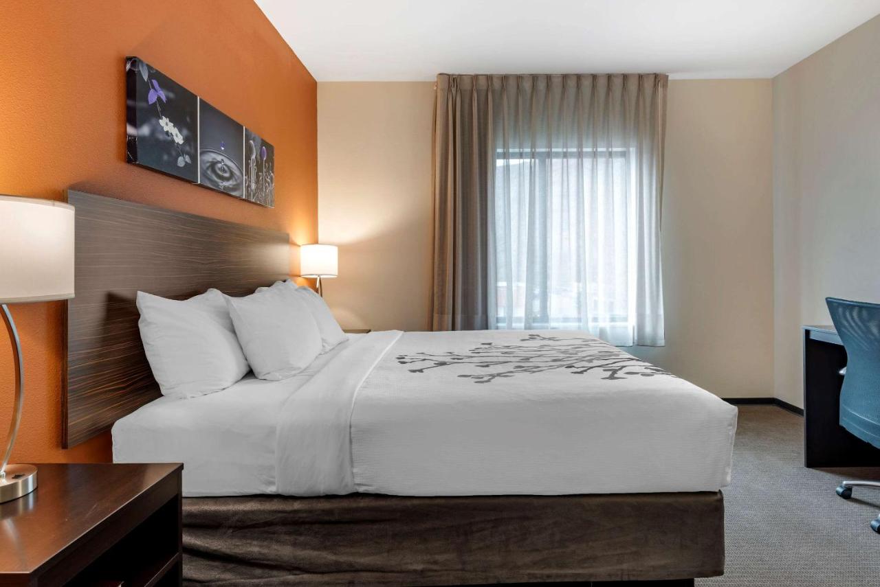 King Room - Non-Smoking at Sleep Inn & Suites Moab near Arches National Park