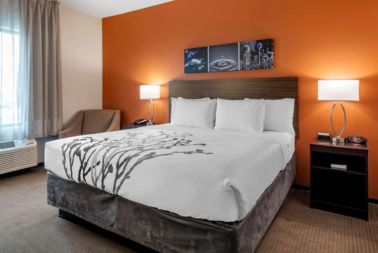 Suite with One King Bed and Two Queen Beds - Accessible/Non-Smoking at Sleep Inn & Suites Moab near Arches National Park