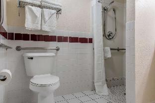 Room #127069712 at Quality Inn & Suites