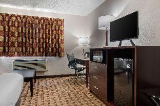 Room #127069712 at Quality Inn & Suites