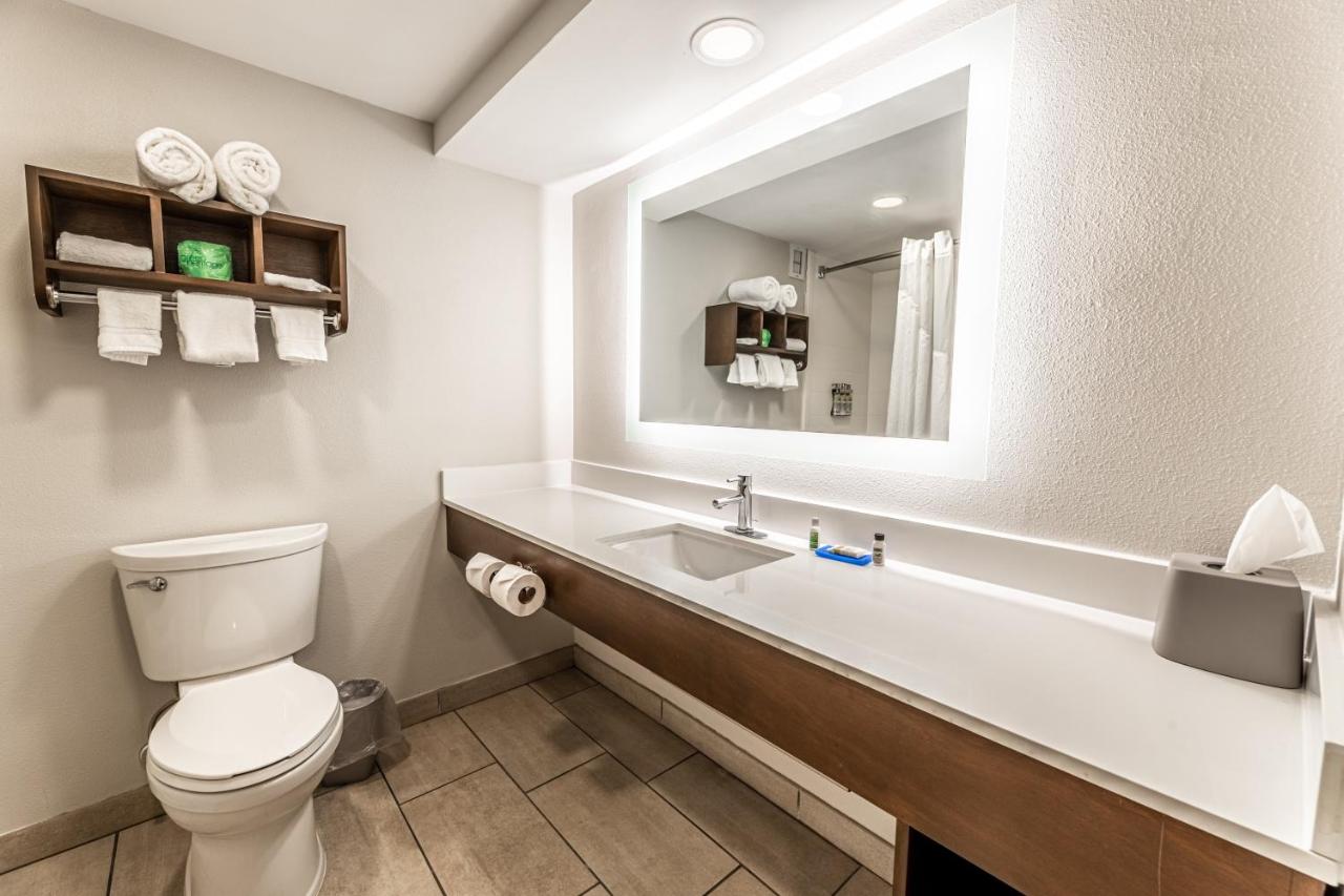 Deluxe King Room - Mobility Access at Holiday Inn Express Indianapolis South by IHG