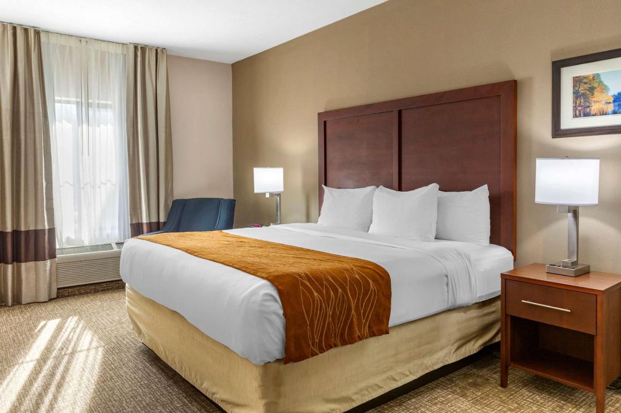 King Room - Accessible/Non-Smoking at Comfort Inn Smithfield near I-95