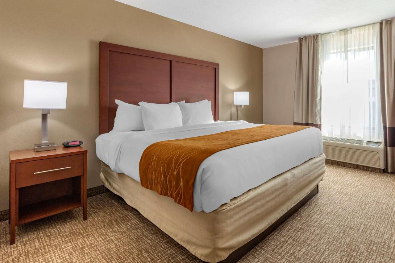King Suite - Accessible/Non-Smoking at Comfort Inn Smithfield near I-95