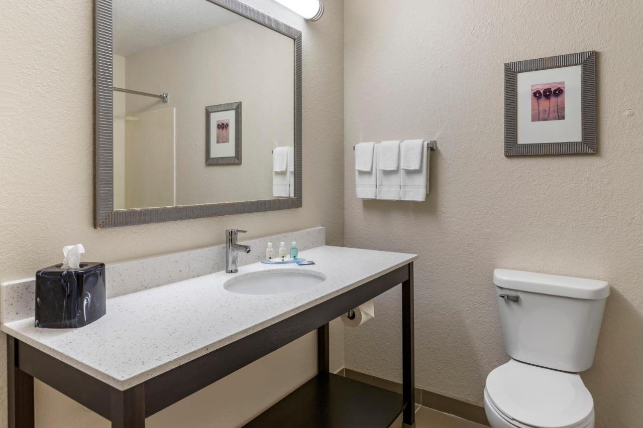 King Suite with Sofa Bed at Quality Inn & Suites