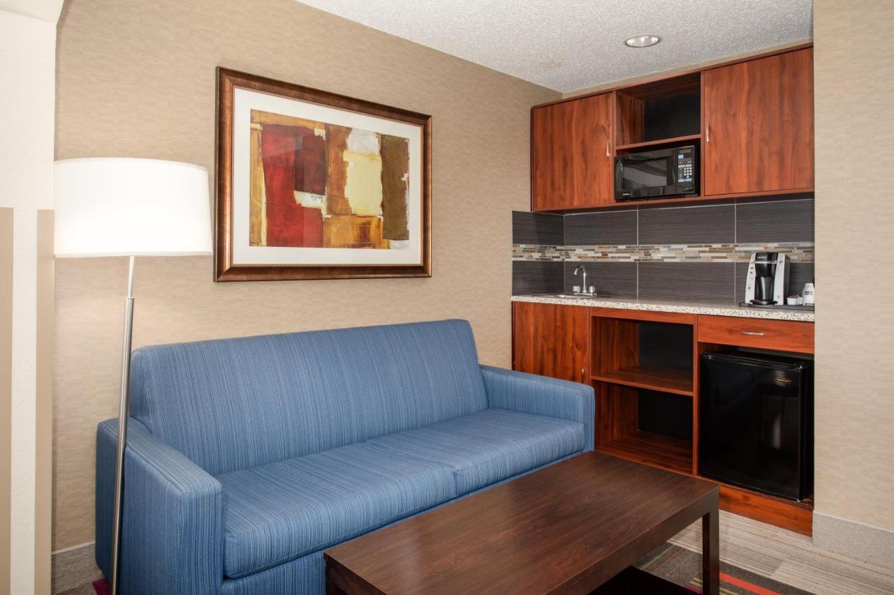 King Suite with Sofa Bed - Non-Smoking at Holiday Inn Express & Suites Denver SW-Littleton by IHG