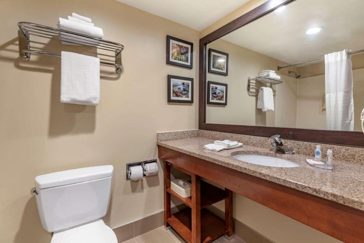  | Comfort Inn & Suites Morehead