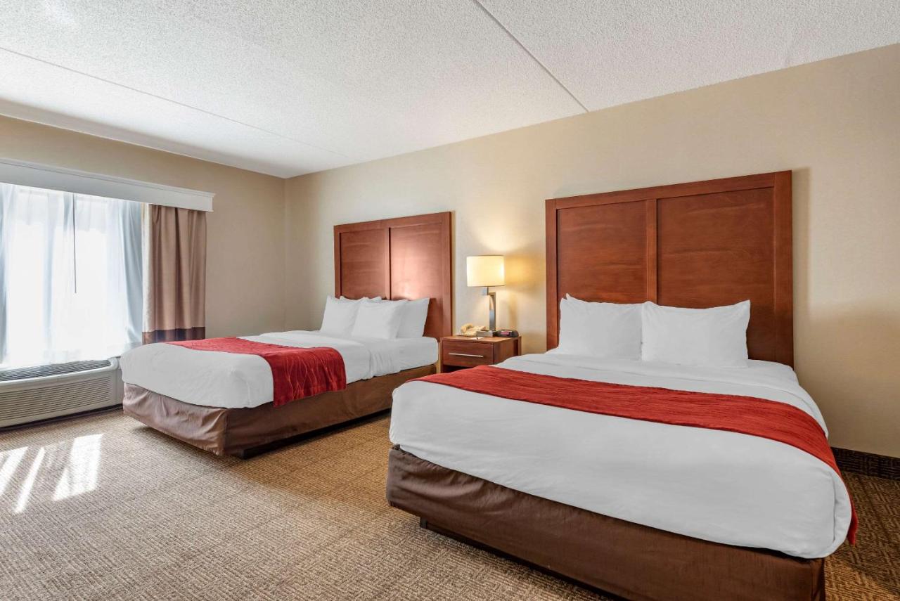 | Comfort Inn & Suites Morehead