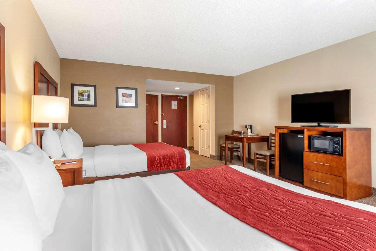 | Comfort Inn & Suites Morehead