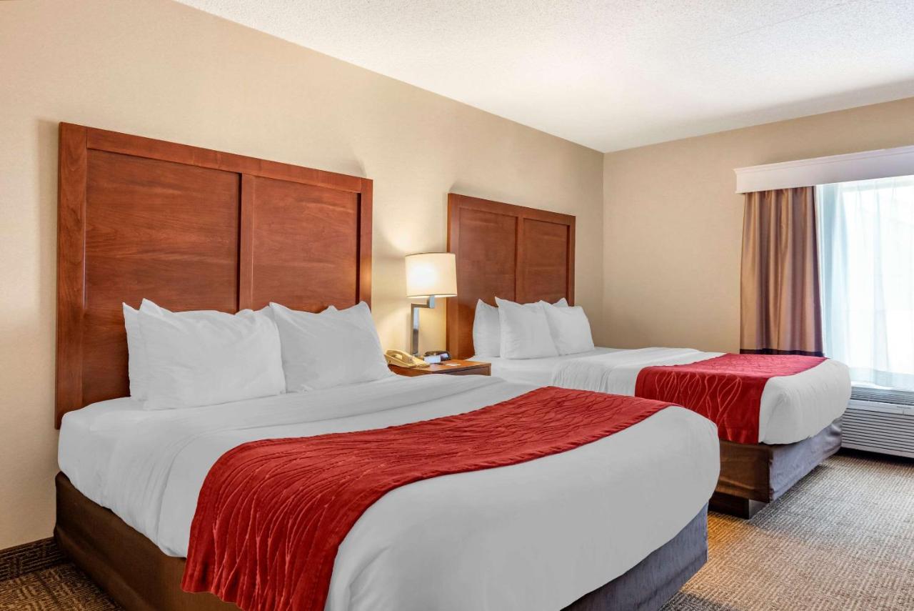 | Comfort Inn & Suites Morehead