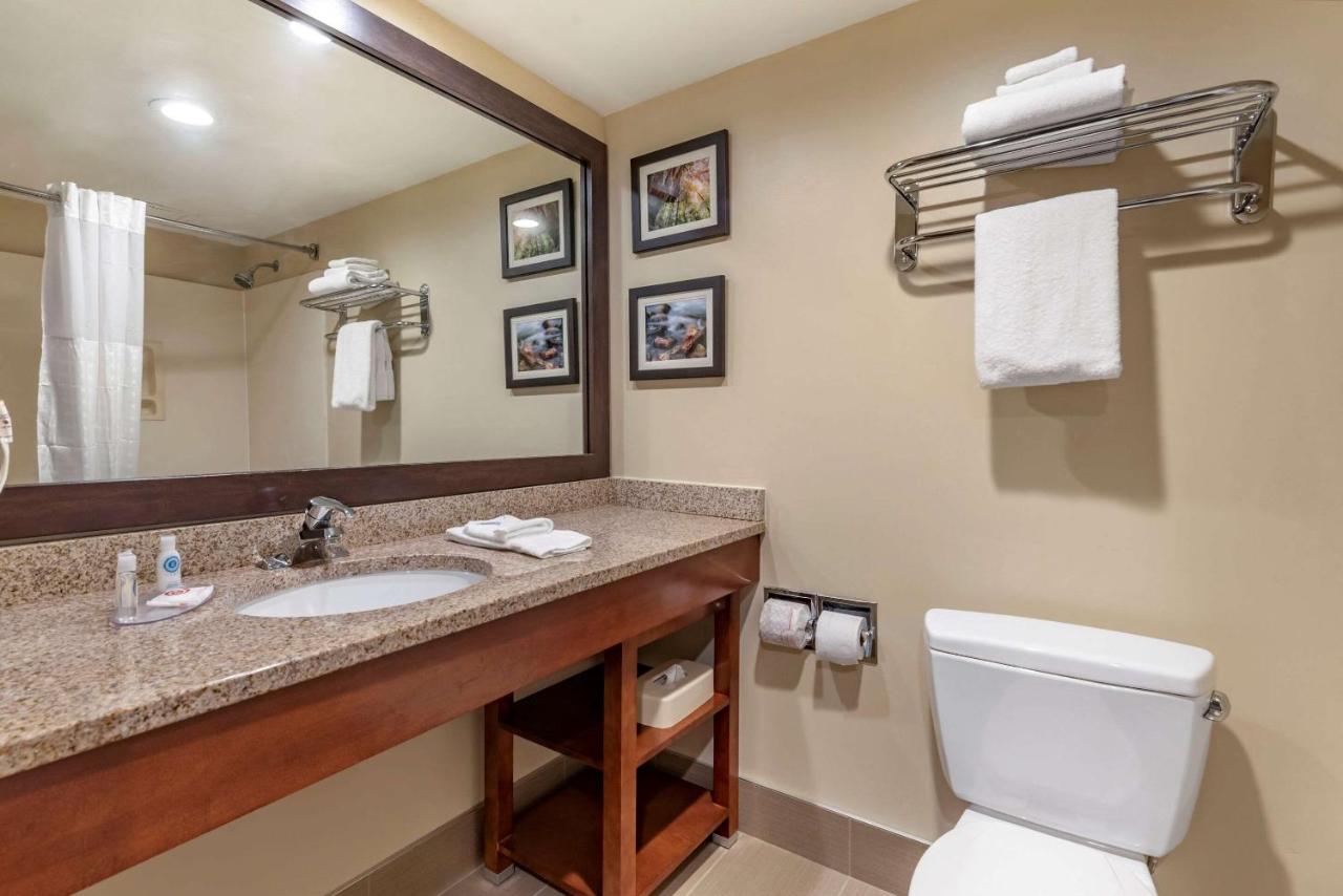 | Comfort Inn & Suites Morehead