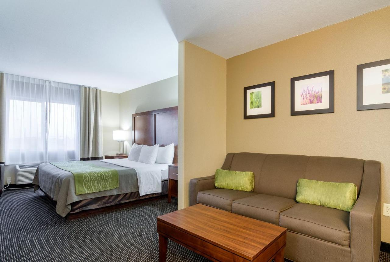 King Suite - Non-Smoking at Comfort Inn Garden City