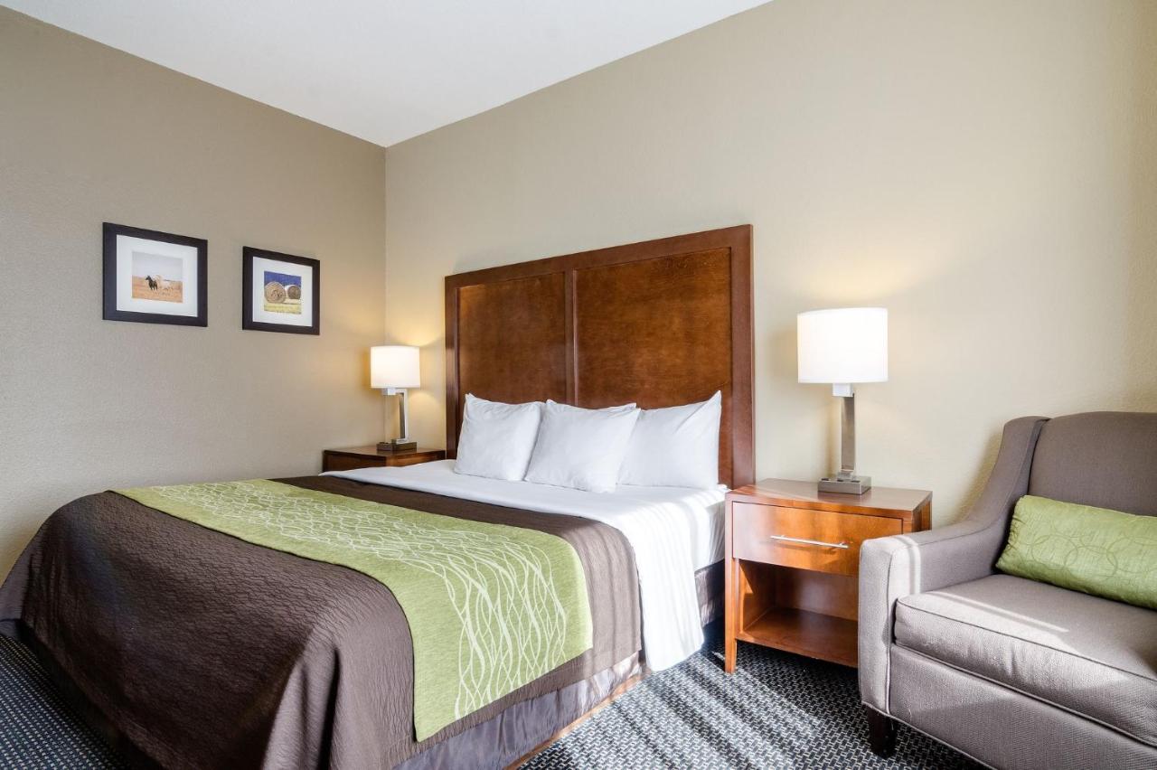 King Room - Accessible/Non-Smoking at Comfort Inn Garden City