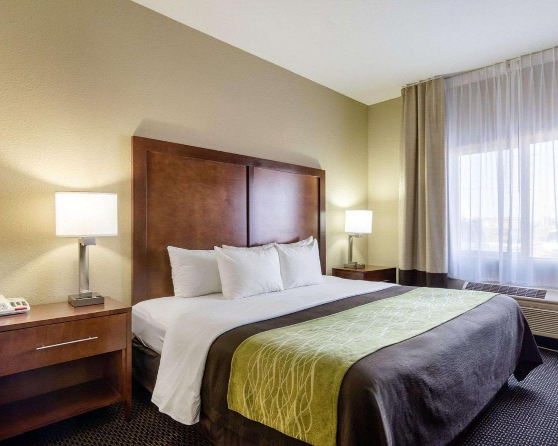 Room #49005109 at Comfort Inn Garden City