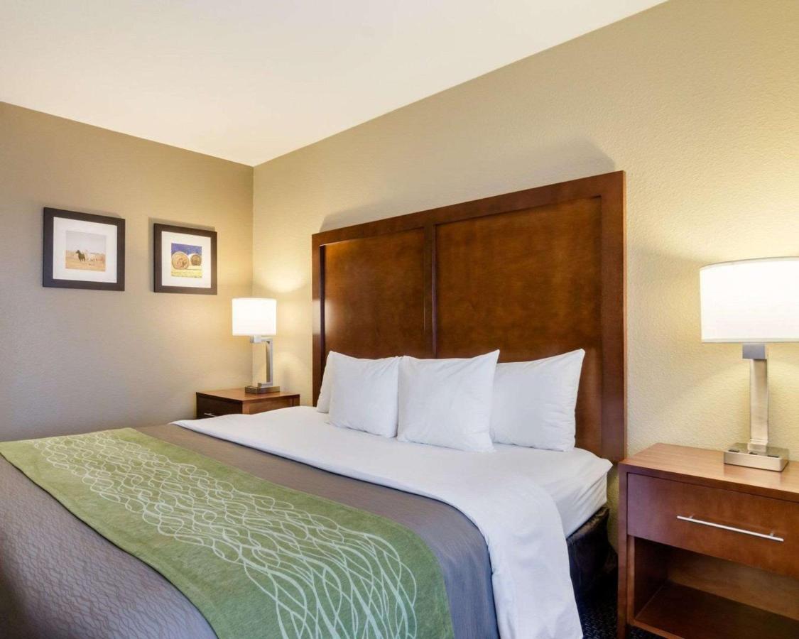 King Room - Non-Smoking at Comfort Inn Garden City