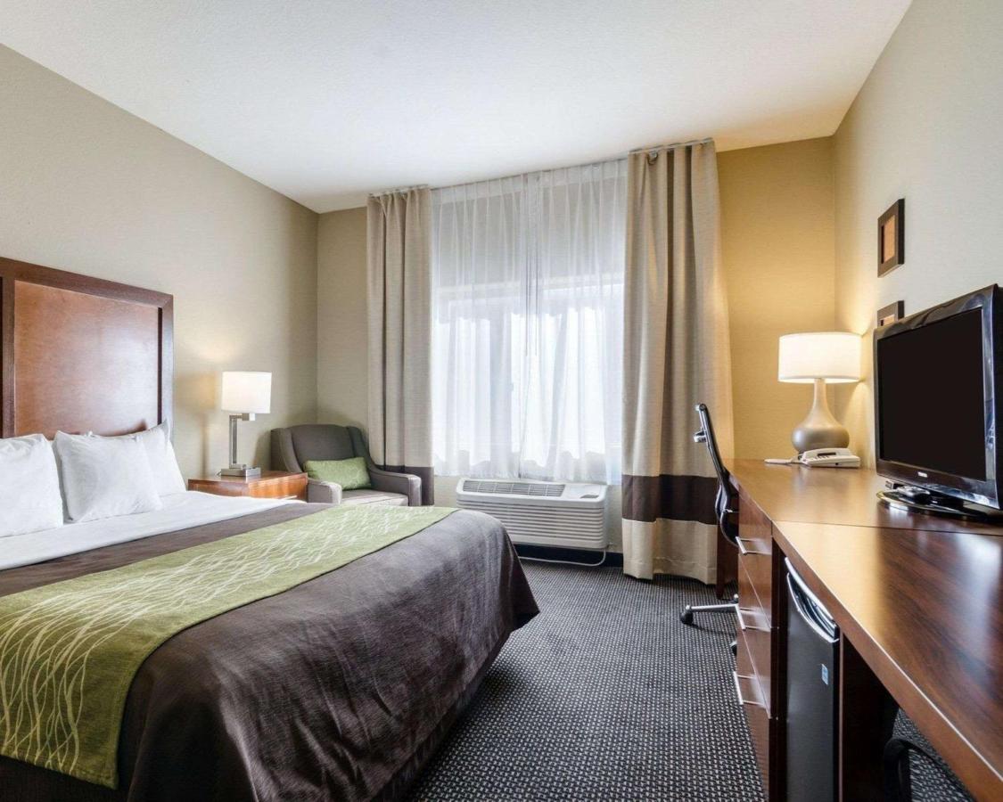 Room #49005109 at Comfort Inn Garden City
