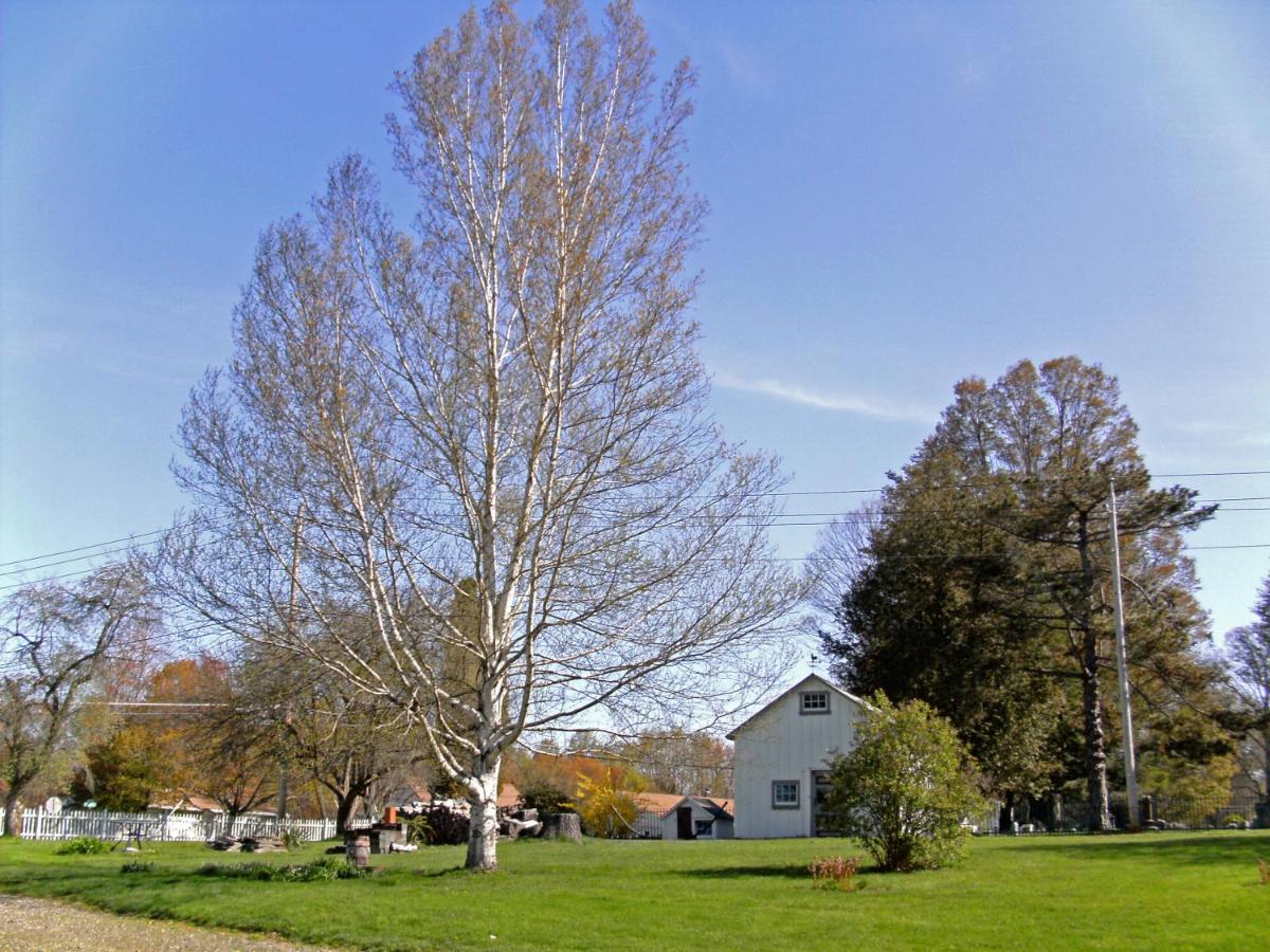 | The 1810 Juliand House Bed & Breakfast