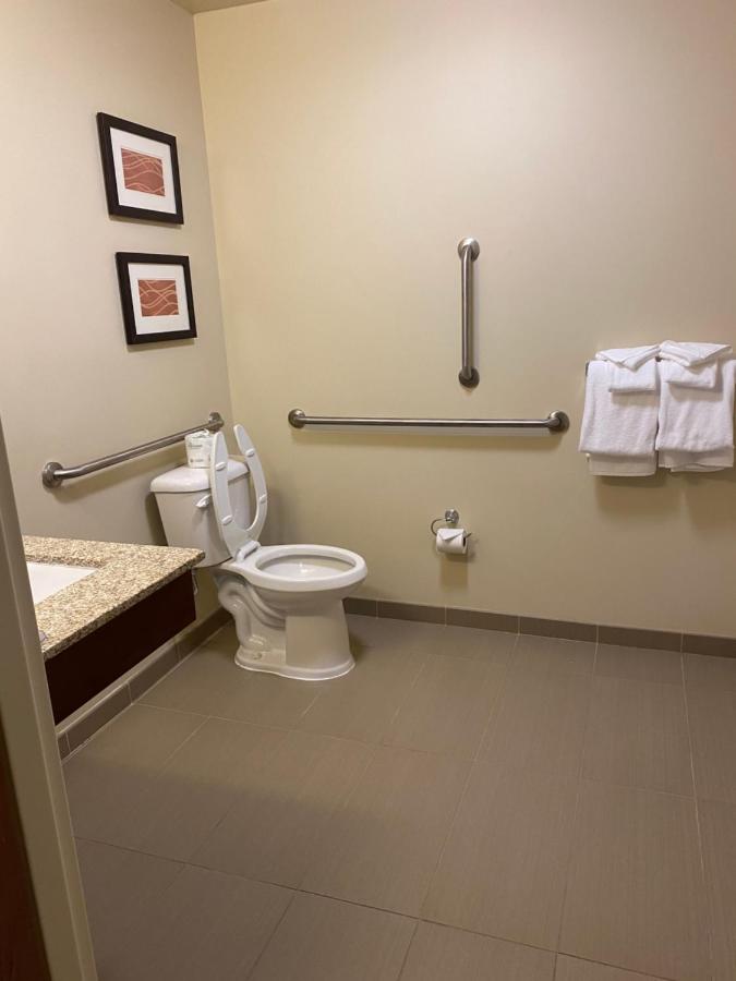 King Room with Roll-In Shower - Accessible/Non-Smoking at Comfort Inn & Suites