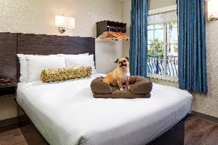 Room #2803210 at SureStay Hotel by Best Western San Diego Pacific Beach