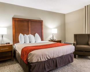 Room #5639606 at Best Western Plus Atlanta Sandy Springs Perimeter Hotel
