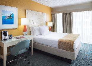 Room #5969722 at Coconut Waikiki Hotel