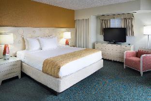 Room #5969755 at Coconut Waikiki Hotel