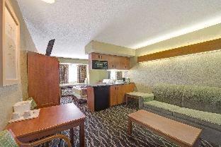 Room #24443825 at Super 8 by Wyndham San Antonio Downtown NE