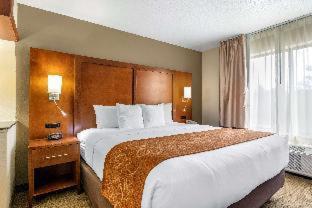 Room #49033707 at Comfort Suites Grand Rapids North