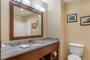 Room #49033707 at Comfort Suites Grand Rapids North