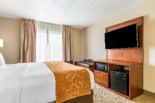 Room #49033707 at Comfort Suites Grand Rapids North