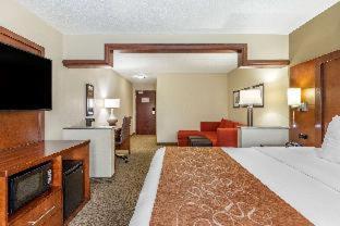 Room #49033707 at Comfort Suites Grand Rapids North