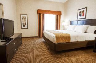 Room #49033707 at Comfort Suites Grand Rapids North