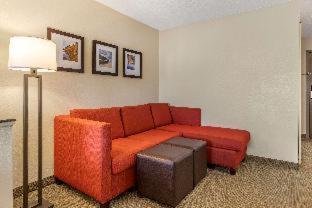 Room #49033709 at Comfort Suites Grand Rapids North