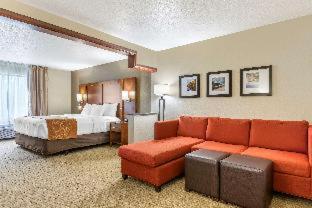 Room #49033710 at Comfort Suites Grand Rapids North