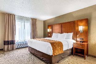 Room #49033710 at Comfort Suites Grand Rapids North