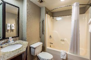 Room #18857614 at Comfort Inn SW Omaha I-80