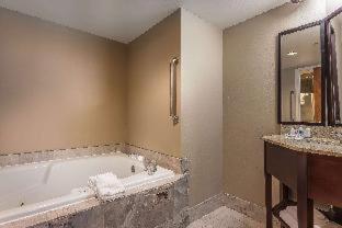 Room #18857617 at Comfort Inn SW Omaha I-80