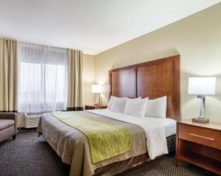 Room #49005111 at Comfort Inn Garden City
