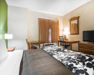 Room #30314812 at Sleep Inn & Suites Bakersfield North