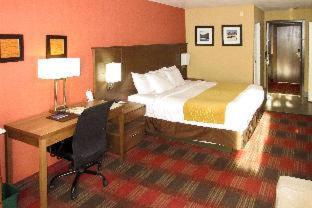Room #2318118 at Comfort Inn Flagstaff Lucky Lane I-40