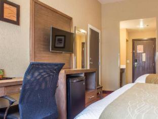 Room #2318116 at Comfort Inn Flagstaff Lucky Lane I-40