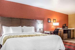 Room #2318117 at Comfort Inn Flagstaff Lucky Lane I-40