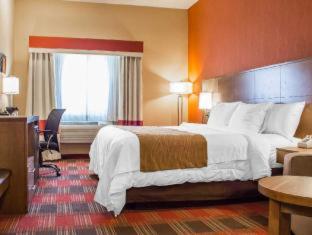 Room #2318118 at Comfort Inn Flagstaff Lucky Lane I-40