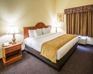 Room #29805106 at Comfort Inn & Suites Jupiter I-95