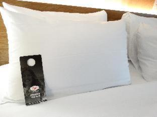 Room #31786516 at Aiden by Best Western Cape Cod - West Yarmouth