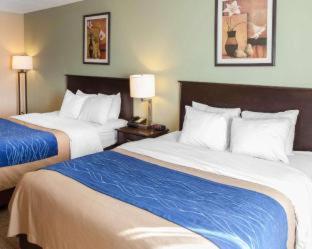 Room #45802912 at Comfort Inn Near Quantico Main Gate North