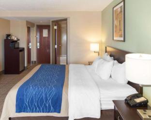 Room #45802913 at Comfort Inn Near Quantico Main Gate North