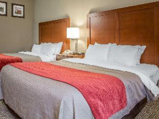 Room #48977209 at Comfort Inn Walcott near Davenport