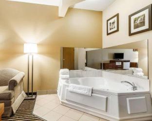 Room #49038406 at Comfort Inn Owatonna near Medical Center