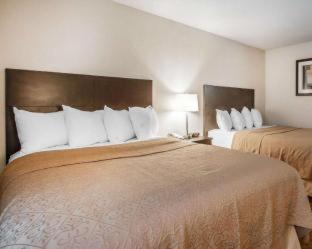Room #49168009 at Quality Inn Murfreesboro - University Area
