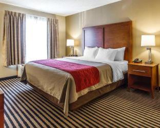Room #49038409 at Comfort Inn Owatonna near Medical Center